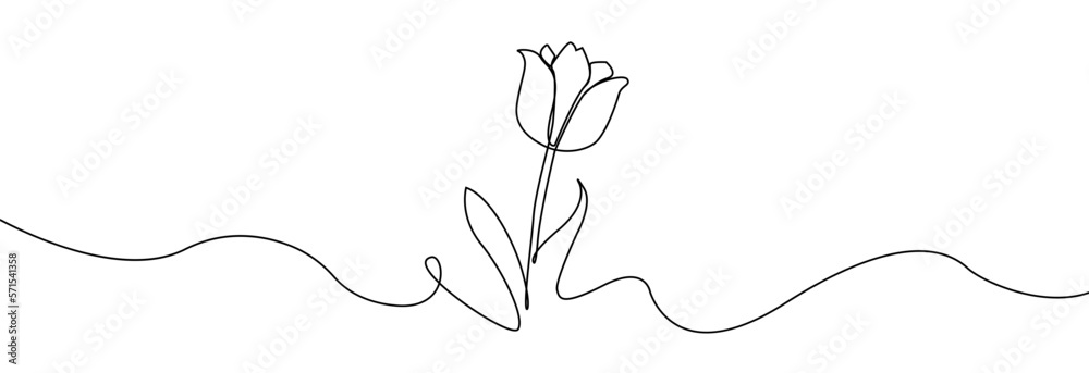 Tulip one line drawing.Abstract flower continuous line. Minimalist contour drawing of tulip. Continuous line drawing of flower tulip.Hand drawn sketch of flower with leaves.