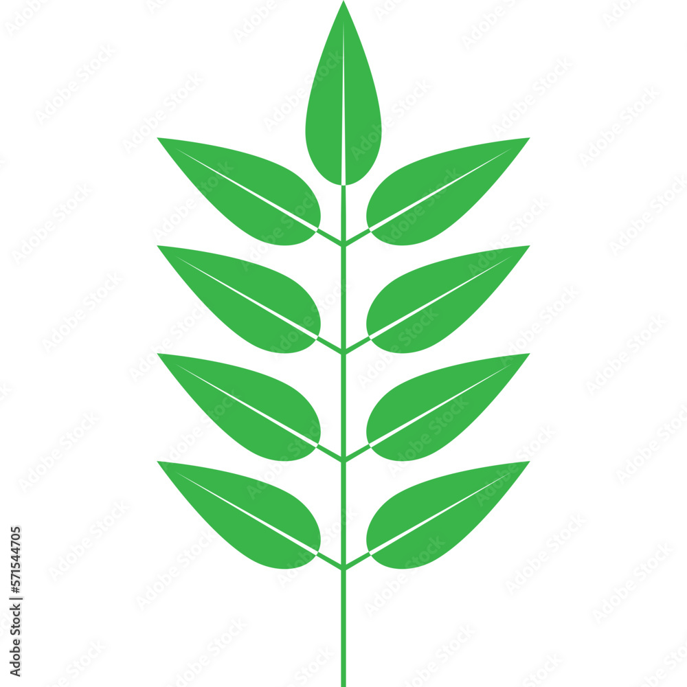 Naklejka premium Green Leaf Element (1)