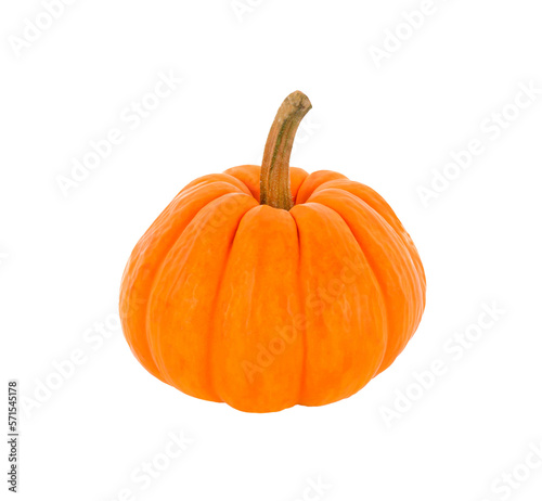 Small pumpkin isolated on   transparent png