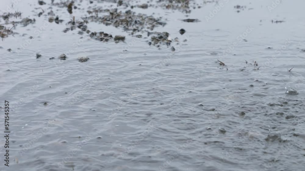 Slow motion of water droplets bursting over a puddle on a rainy day Slow motion of water droplets bursting over a puddle on a rainy day