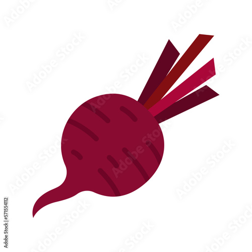 Beet or beets beetroot vegetable or radish icon.