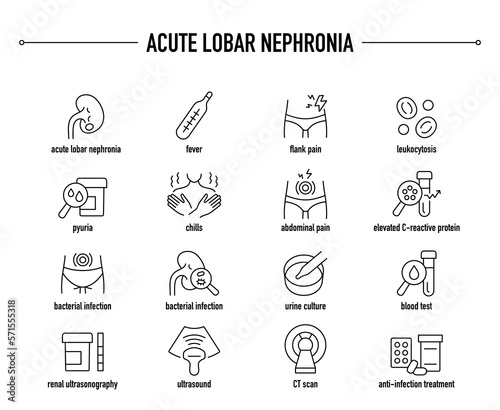Acute Lobar Nephronia symptoms, diagnostic and treatment vector icon set. Line editable medical icons. photo