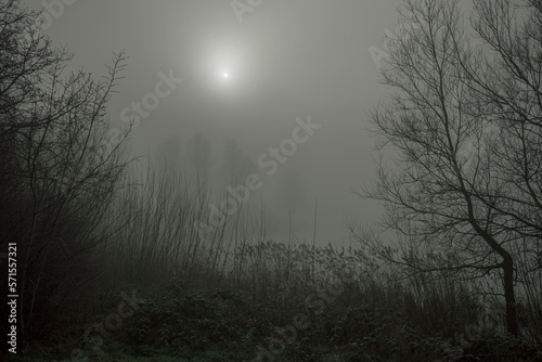 Sunlight barely penetrates the heavy fog on a freezing morning in January 1