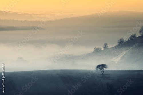 fantasy sunrise landscape, tree on a hill in fog