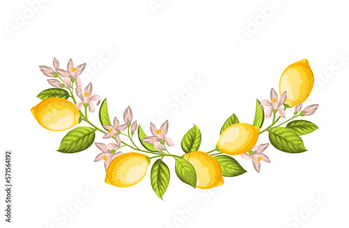 Round wreath of lemon branch . Frame made of lemons berrie, leaf and flowers.