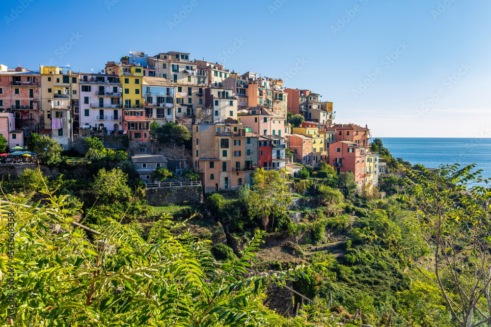 Corniglia in Cinque Terre, Italy with vineyards and terraces