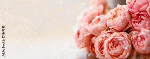 Beautiful banner with pink roses, highlights, blurred lights, space for a copy. Background with pink colors on a light background, space for text and advertising. Background on March 8, Mother's Day