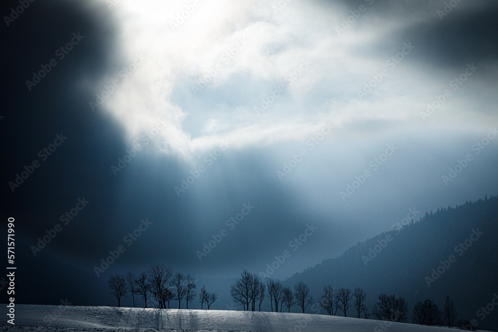 Villard De Lans, hiver 2023, l'hiver le plus sec jamais enregistré - obrazy, fototapety, plakaty 