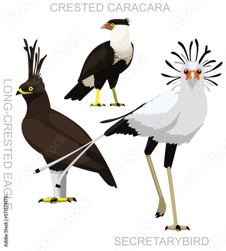 Cute Secretary Bird Eagle Caracara Set Cartoon Vector