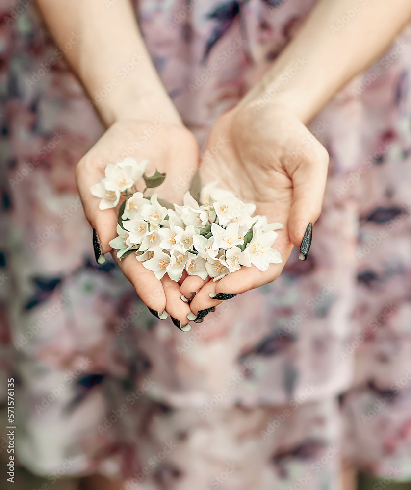 Close-up girl's hands in the shape of a heart. The girl holds white cherry flowers in her hands. Close-up girl's hands in the shape of a heart. The girl holds white cherry flowers in her hands.