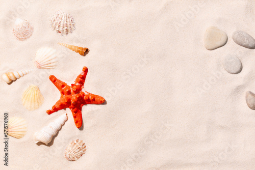 Sandy beach with seashells background