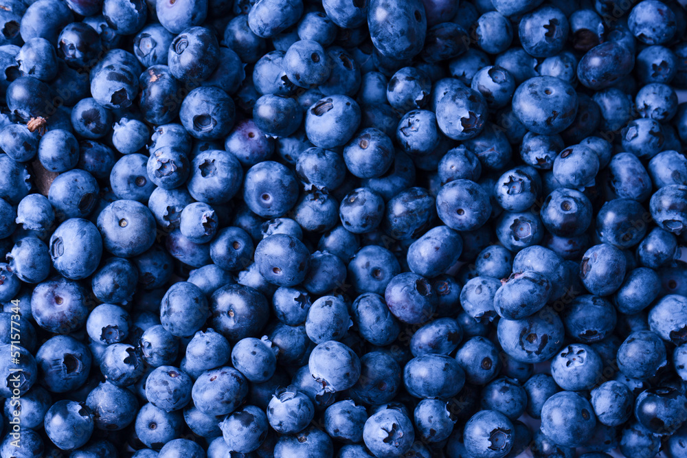 Fresh blueberry background. Texture blueberry berries close up. Fresh blueberry background. Texture blueberry berries close up.