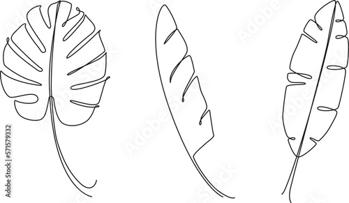 continuous single line drawings of tropical leaves, line art vector illustration