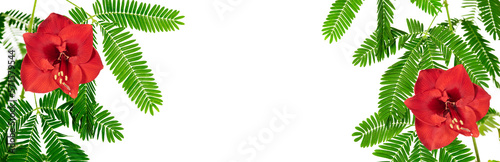 Green plant with red lily flower, frame, white space. Isolated on transparent background. Precision cut and flawless finish make it easy to incorporate the image into your projects.