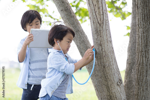 木に聴診器を当てて音を聞く弟とその様子をタブレットで記録する兄 photo