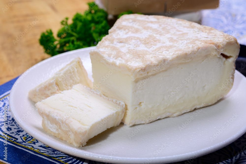 Piece of french soft-ripened white mold cow milk cheese brie produced in Seine-et-Marne region, France