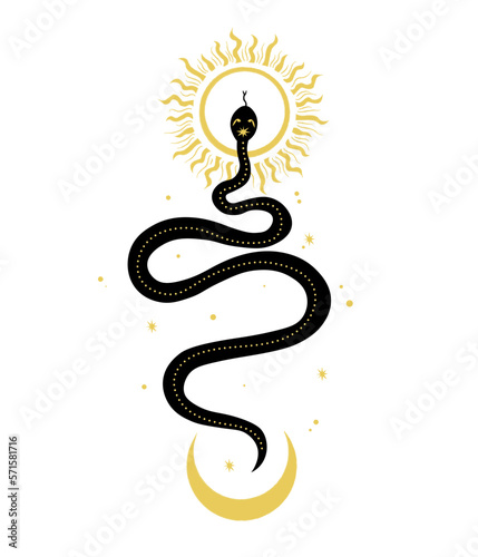 Vector art of mystical magic objects- snake, moon and sun, line art. Spiritual occultism objects.