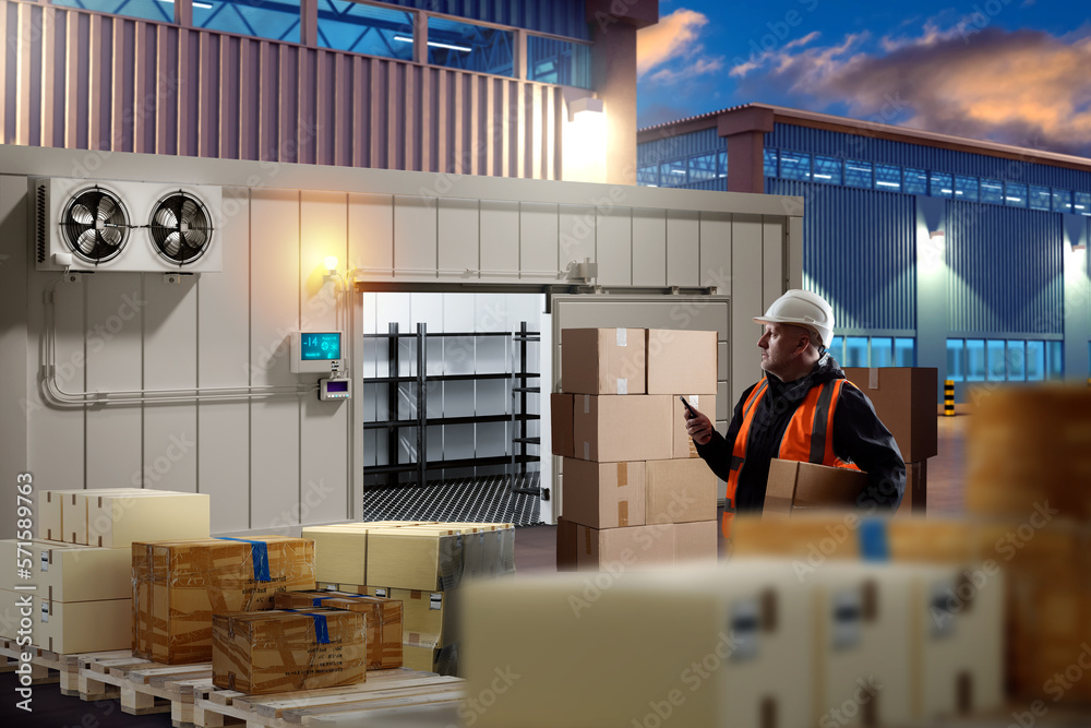 Man near industrial refrigerator. Boxes on pallets near cold room. Guy