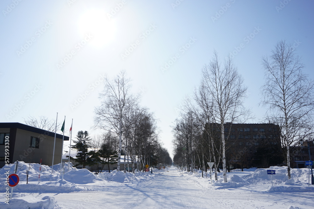 帯広畜産大学 Images – Browse 44 Stock Photos, Vectors, and Video