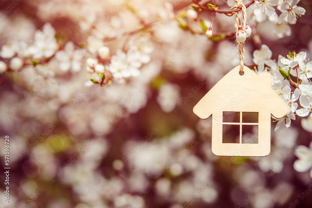 symbol of the house among the white cherry blossoms
