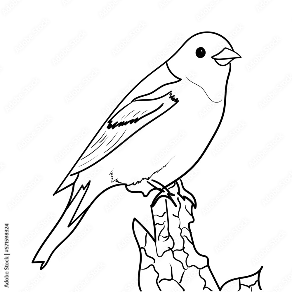 Obraz premium Outline image of a bird for coloring and decoration material