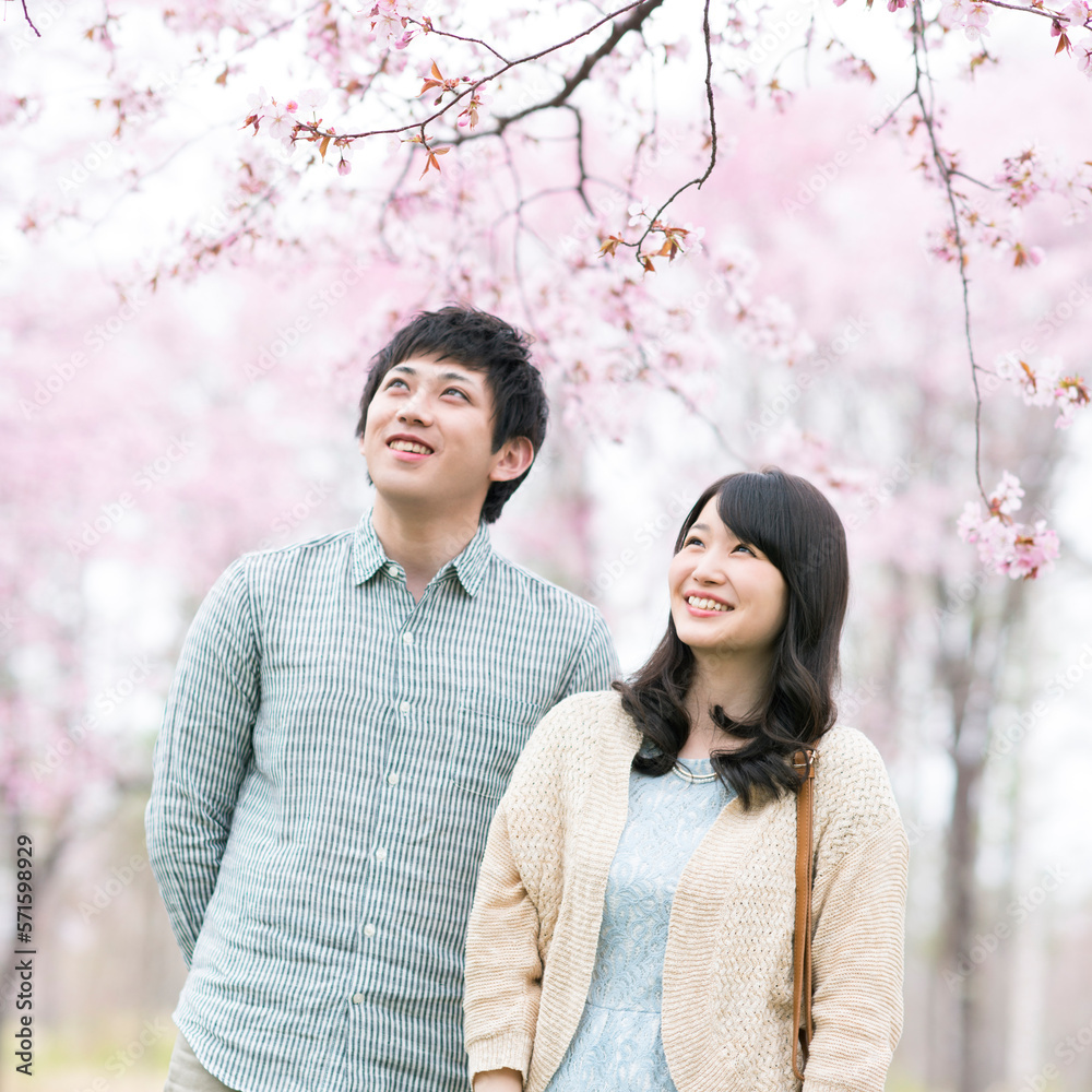 桜を眺めるカップル