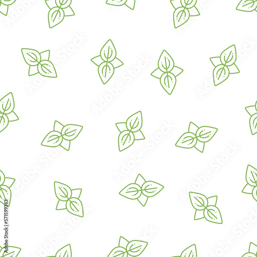 Mint leaves line pattern. Seamless vector pattern with leaves