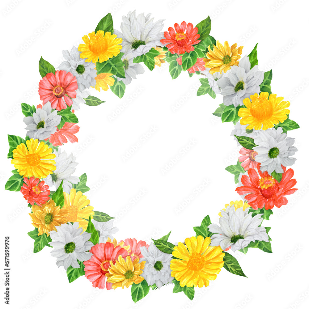 Floral wreath with red and yellow zinnia, white chrysanthemum, green leaves. Floral clipart. For postcards, invitations. Hand-drawn watercolor illustration Floral wreath with red and yellow zinnia, white chrysanthemum, green leaves. Floral clipart. For postcards, invitations. Hand-drawn watercolor illustration