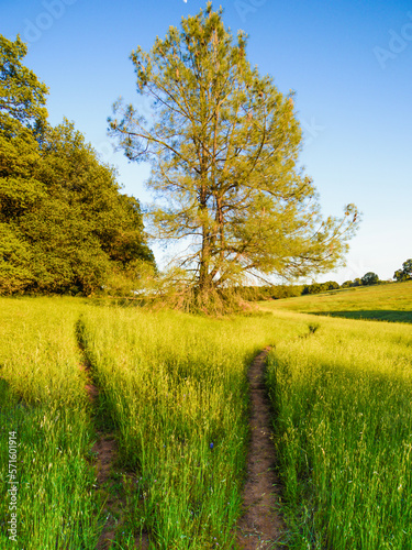 Which trail will you take?