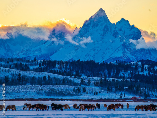 the Grand Tetons