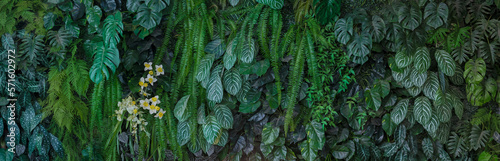 Green leaf background. Herb wall, plant wall, natural green wallpaper and background. nature wall. Nature background of green forest	 photo