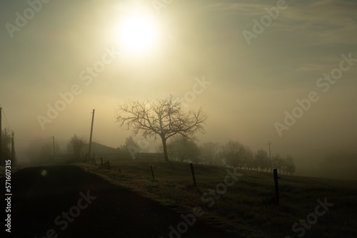 Obraz na płótnie Brouillard dans le Gers