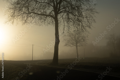Brouillard dans le Gers