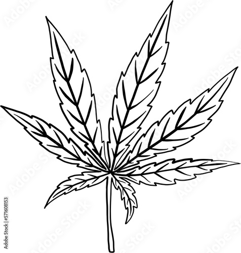 simplicity cannabis leaf freehand drawing © tanarch