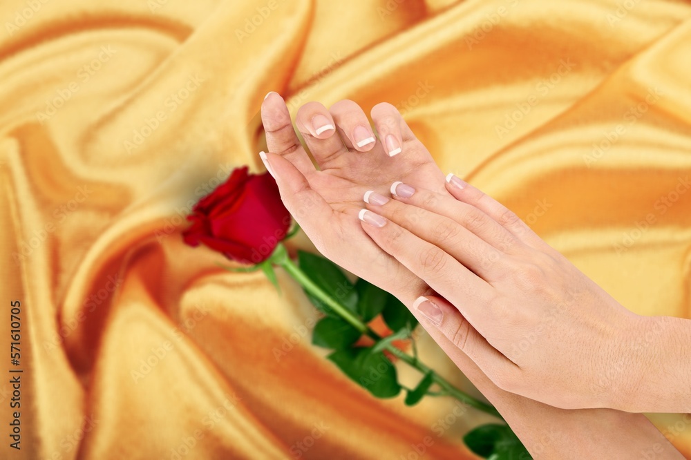 Fototapeta premium Beautiful hands with manicure hold fresh flower.