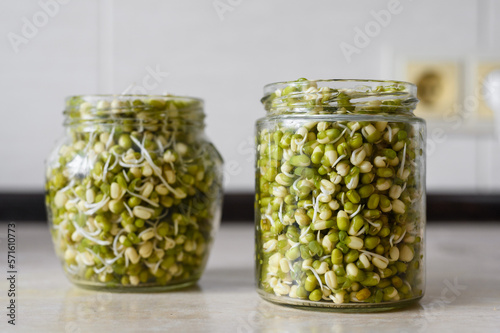 Sprouted mung beans in glass decoys in the kitchen. Selective focus on the near bank, side view.