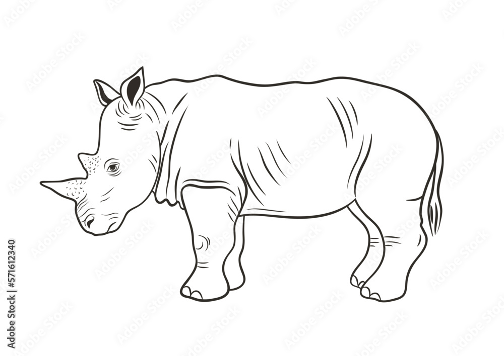 African animals collection. Graphic vector outline illustration with rhinoceros