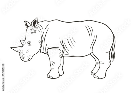 African animals collection. Graphic vector outline illustration with rhinoceros © Nina