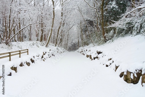 雪の道 林道 雪景色素材