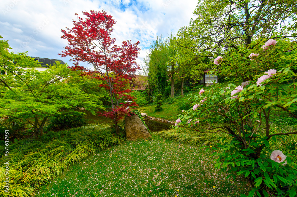 Beautiful trees and flowers in the Japanese garden in the Budapest Zoo in Hungary. Spring green landscape Beautiful trees and flowers in the Japanese garden in the Budapest Zoo in Hungary. Spring green landscape