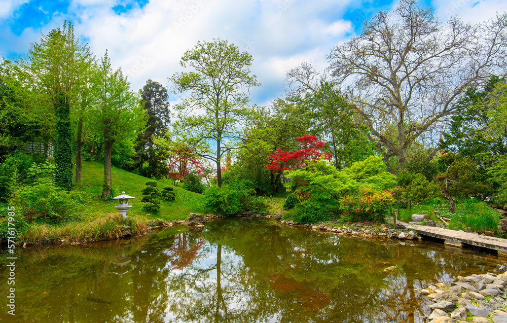 Beautiful trees and flowers in the Japanese garden in the Budapest Zoo in Hungary. Spring green landscape