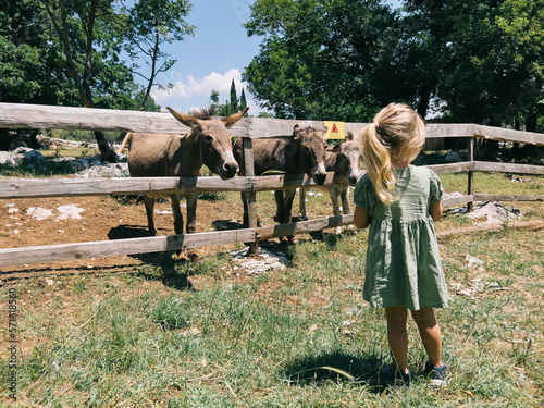 Tela Little girl stands near a wooden fence with brown donkeys in the park