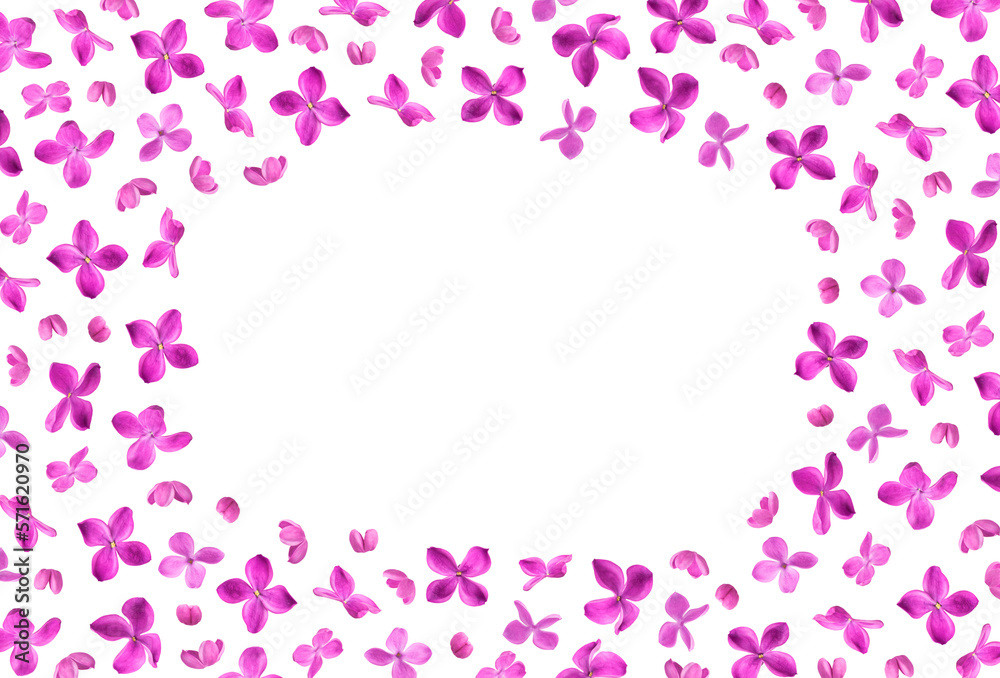 Floral pattern. Spring mockup. Purple lilac flowers isolated on white background. With clipping path. Creative floral background, elements for design, postcards, flower frame Floral pattern. Spring mockup. Purple lilac flowers isolated on white background. With clipping path. Creative floral background, elements for design, postcards, flower frame