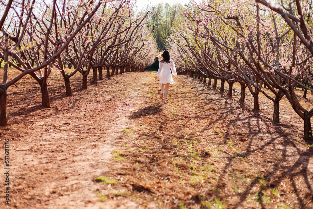 A young beautiful slender girl in a light short dress runs through a blooming peach garden on a sunny spring day. Spring background with a girl in flowering trees