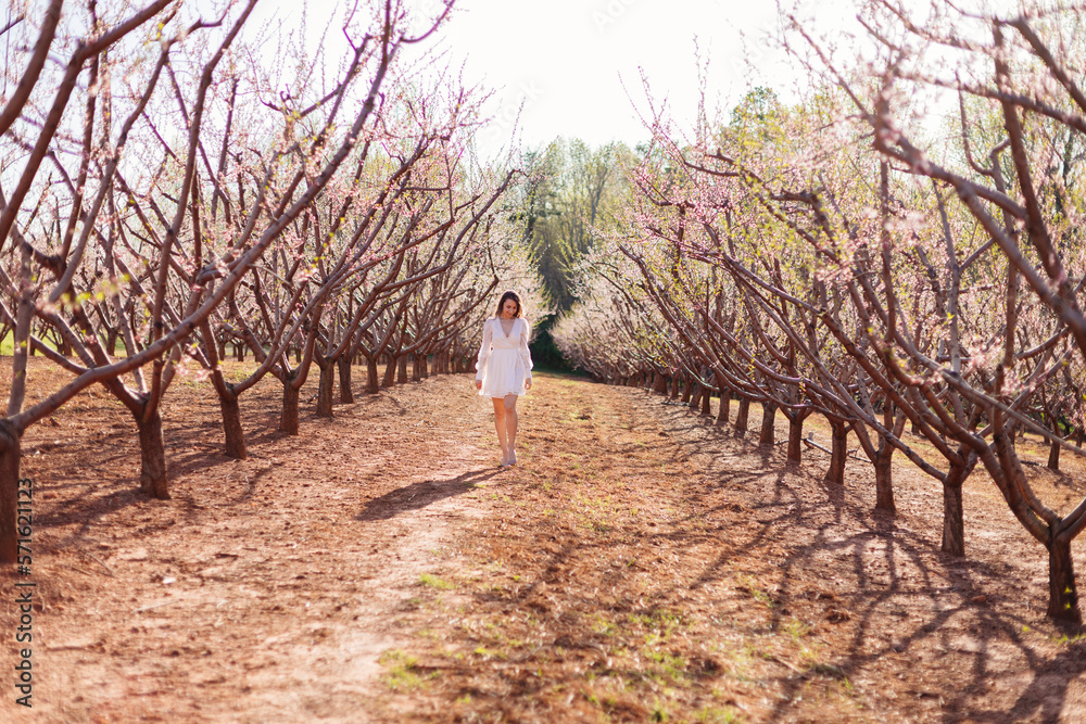 Obraz premium A young beautiful slender girl in a light short dress walks through a blooming peach garden on a sunny spring day. Spring background with a girl in flowering trees