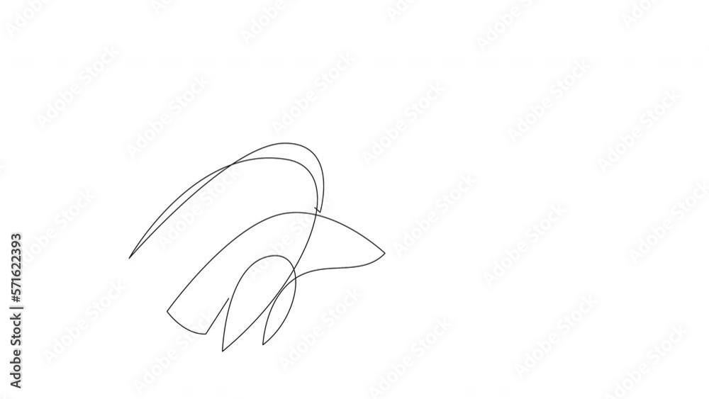 Animated self drawing of one continuous line eagle bird. Hawk mascot concept. Single line animation. Animated self drawing of one continuous line eagle bird. Hawk mascot concept. Single line animation.