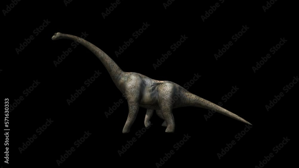Dinosaur Huge Brontosaurus 3D Animation With Alpha Video Dinosaur Huge Brontosaurus 3D Animation With Alpha Video