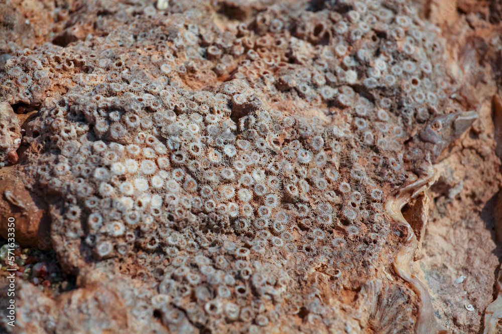 texture texture