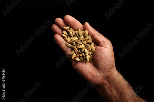 Asian dark skin top view two hand palm finger holding cardamom spice on black background © oqba