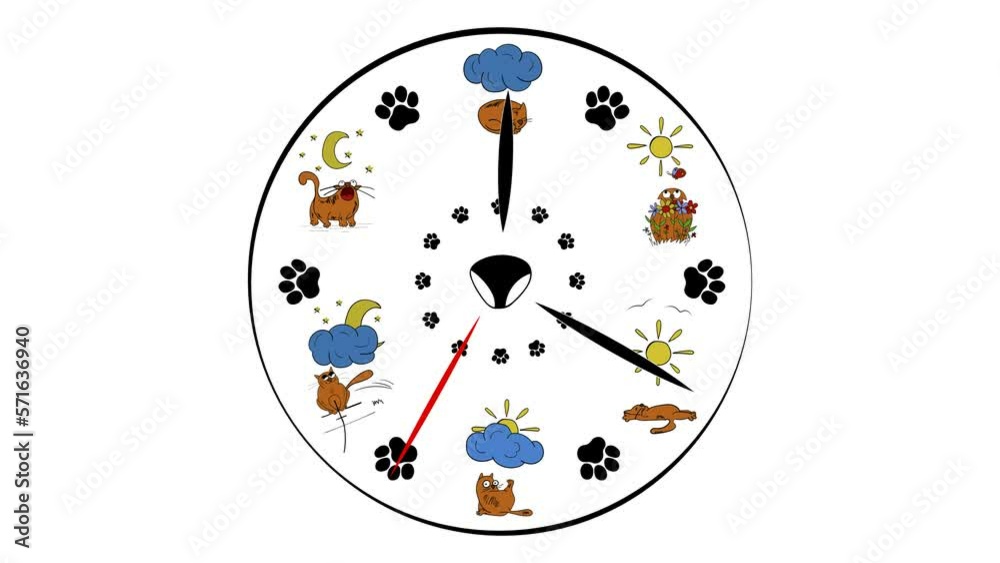 Cats clock face background. One hour in one minute. Clock with